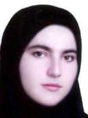 تصویر دکتر ویدا محمدی